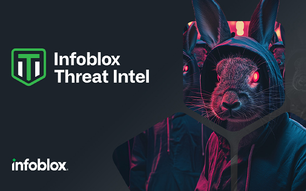 Revolver Rabbit’s Million-Dollar Masquerade: Infoblox Uncovers The Hidden World of RDGAs